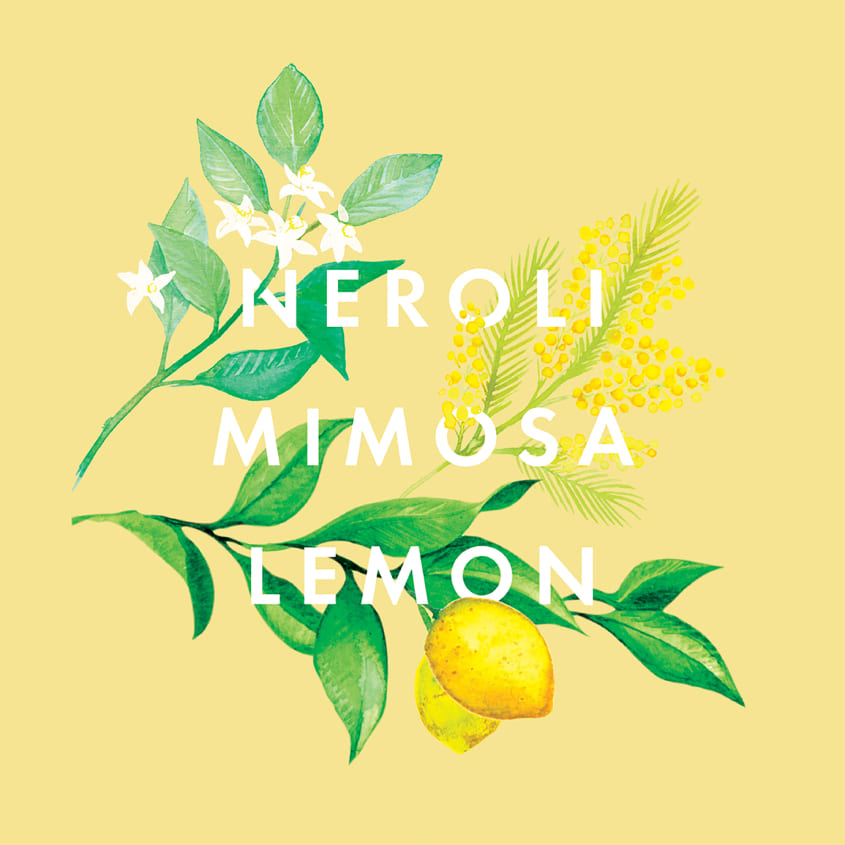 Essential Oil Blend Happiness Scent To Make You Happy