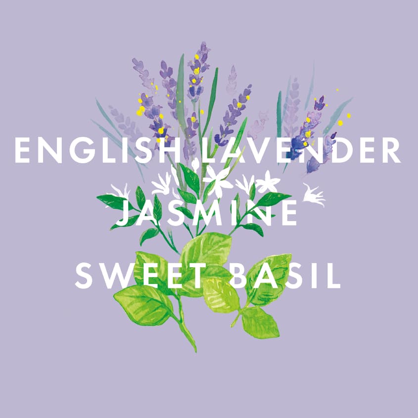 Essential Oil Blend Perfect Night’s Sleep Scent To Sleep
