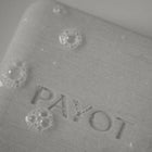 PAYOT PATE GRISE PAIN NETTOYANT PURIFIANT 65G – شراء أونلاين