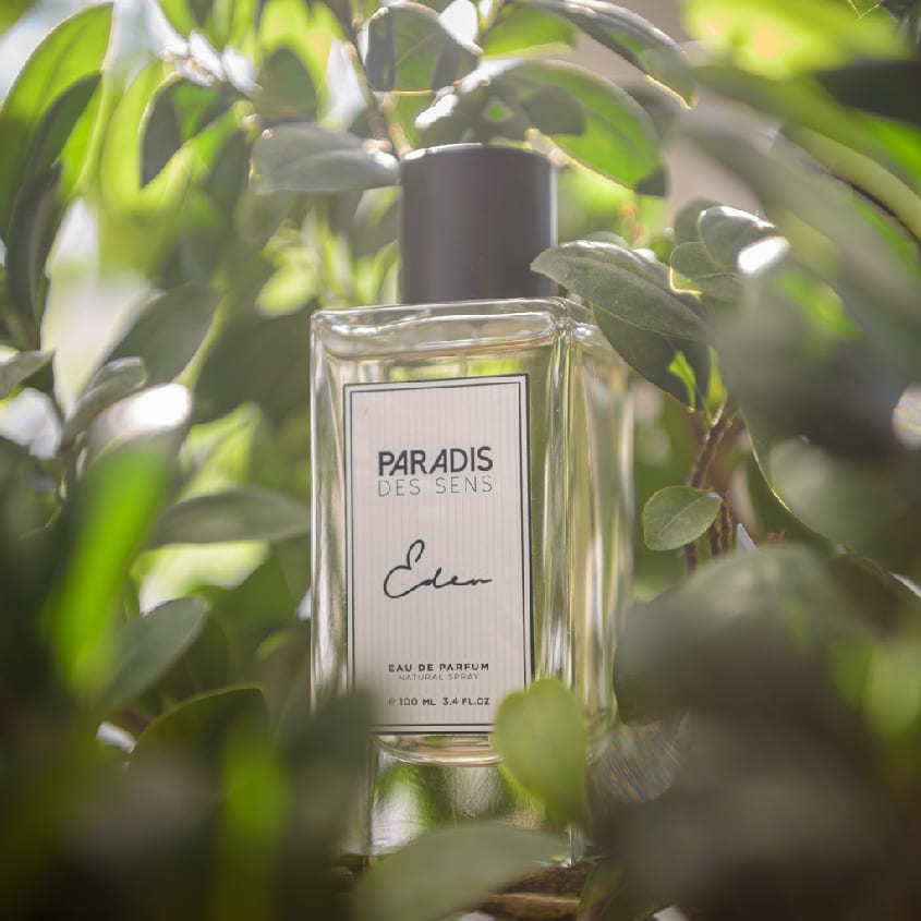 PARADIS DES SENS عدن – شراء أونلاين
