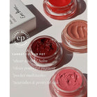 ERE PEREZ CHEEK LIP TINT CARROT COLOUR POT HELLO 6,5 G – صورة 5