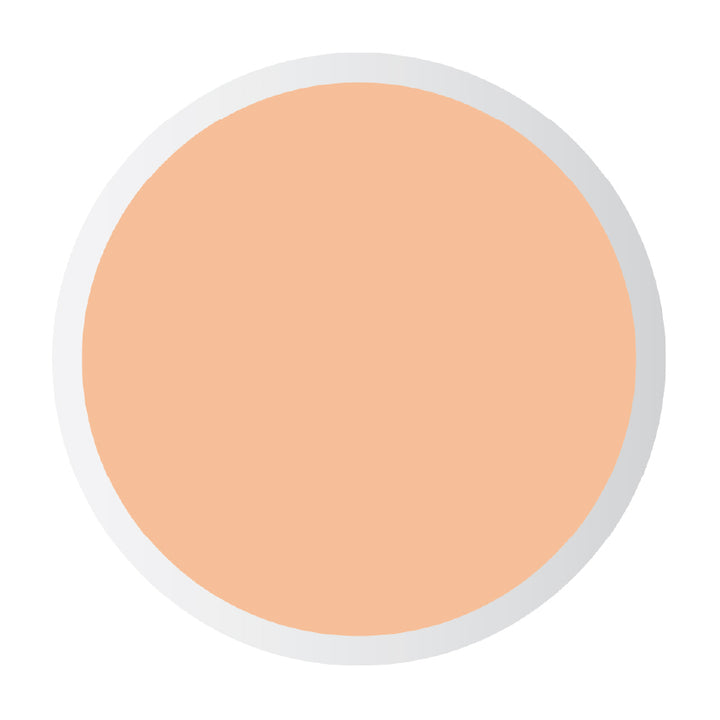 LIQUID CONCEALER PROFASHION 103 8 ML
