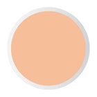 PASTEL LIQUID CONCEALER PROFASHION 103 8 ML – buy online