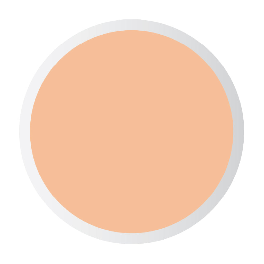 PASTEL LIQUID CONCEALER PROFASHION 103 8 ML – buy online
