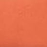 Creamsicle 6 g