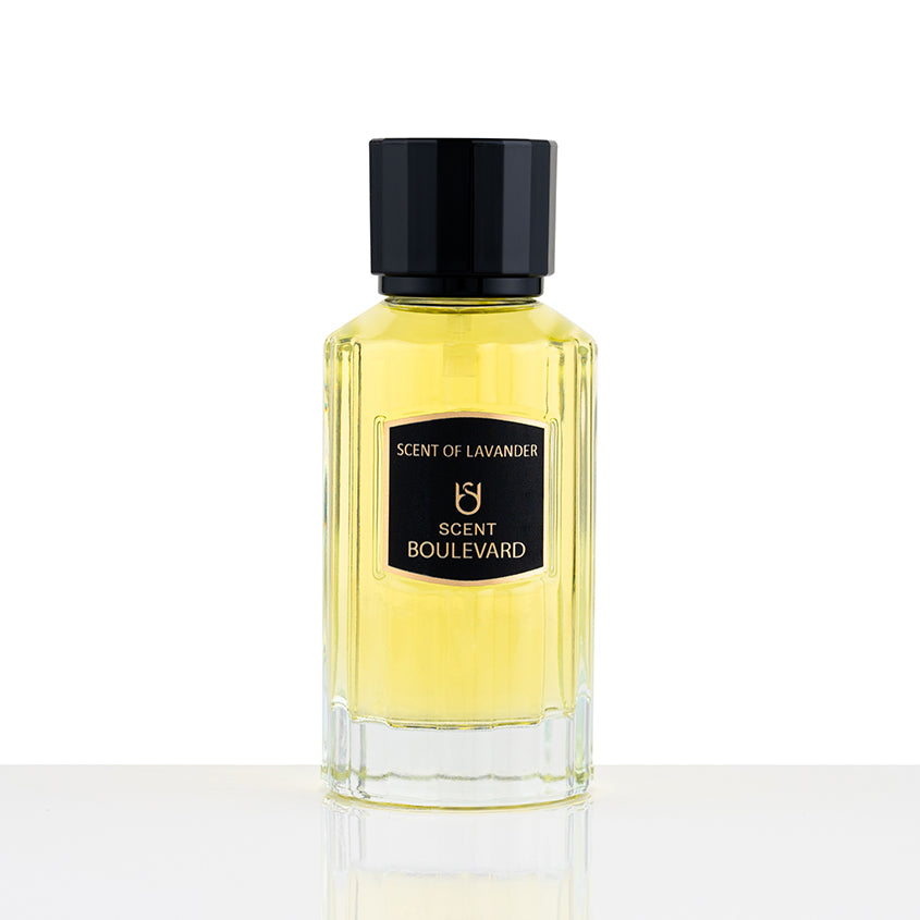 SCENT BOULEVARD سينت بوليفارد سينت أوف لافندر، إيو دو بارفوم، 100 مل
