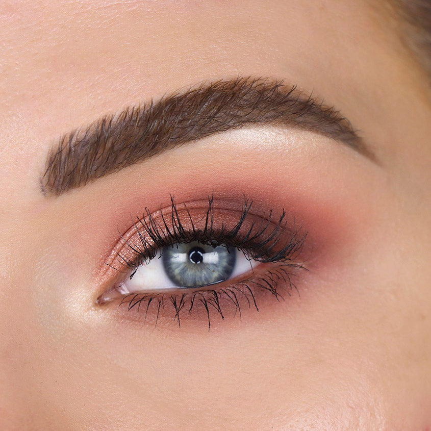 لوحة ظلال العيون THEBALM MALE ORDER Domestic Male – توصيل مجاني