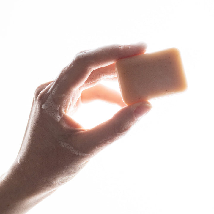 Purifying Body Soap 017