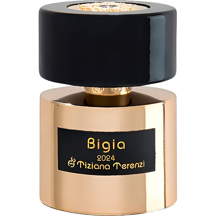 Unisex perfume – BIGIA EXDP 100 ML
