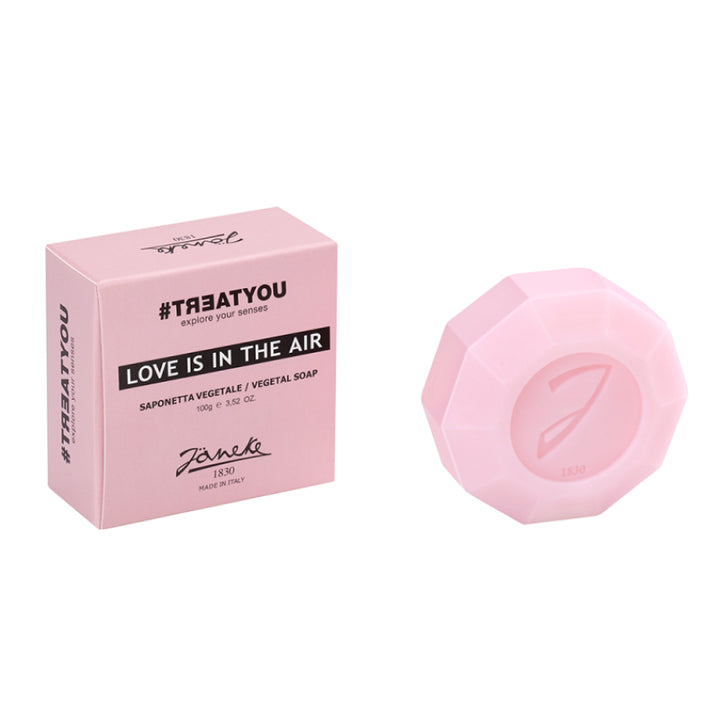 SOLID VEGETAL SOAP LOVE IS IN THE AIR 100G