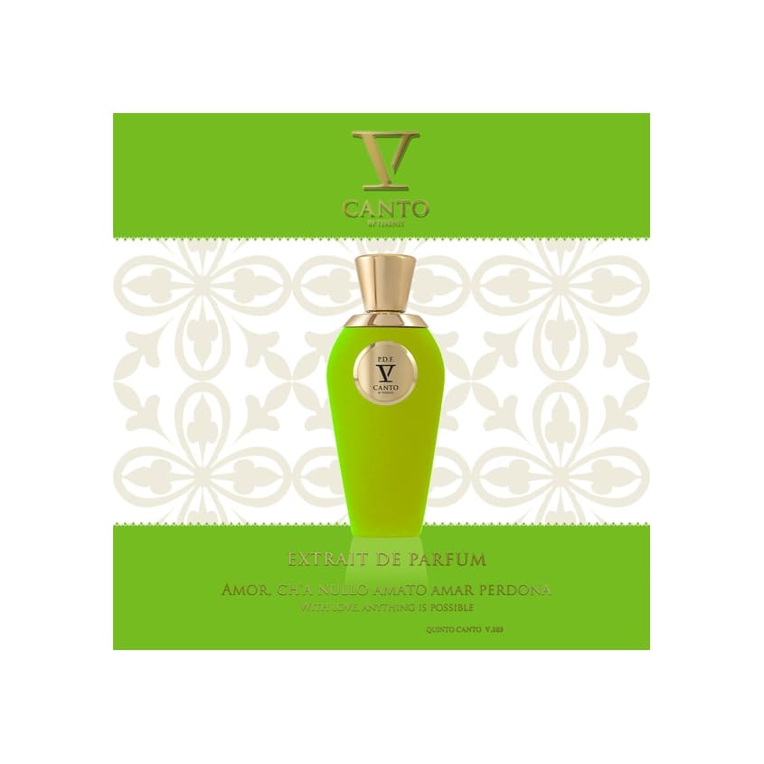 V CANTO P.D.F. EXTRAIT DE PARFUM 100 ML – free delivery