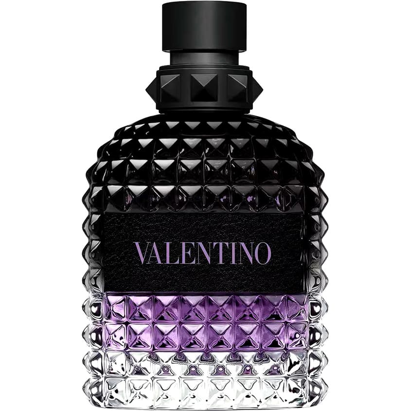 VALENTINO VLT BIR PURPLE UOMO V100ML FG – buy online