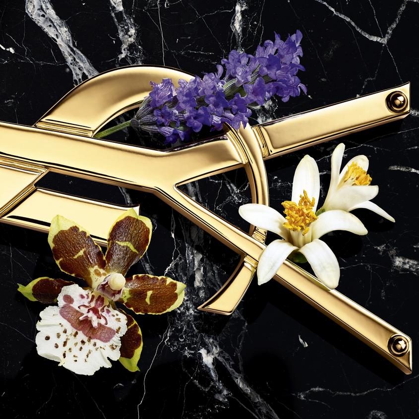 YVES SAINT LAURENT YSL LIBRE EDP INTENSE S50ML – توصيل مجاني